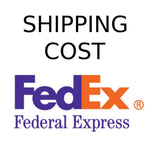 FedEx Shipping Cost - Instrulife