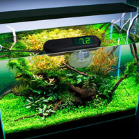 ILWQ-229 Digital Aquarium pH Monitor Meter Tester with Replaceable Electrode, Continuous Monitoring Fish Tank, Aquaculture and Hydroponics - Instrulife