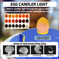 ILEI-501 Egg Incubator with Automatic Egg Turning, Temperature Control, Candler, Humidity Display, 8~18 Eggs Chicken Embryo Incubator for Hatching Chicken, Duck, Bird, Quail, Goose, and Turkey Embryos - Instrulife