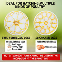 ILEI-501 Egg Incubator with Automatic Egg Turning, Temperature Control, Candler, Humidity Display, 8~18 Eggs Chicken Embryo Incubator for Hatching Chicken, Duck, Bird, Quail, Goose, and Turkey Embryos - Instrulife